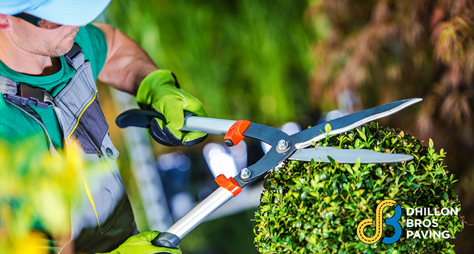 Making First Impressions Count With Landscape Maintenance Services