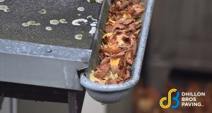Spring-Gutter-Cleaning-Advice-From-The-Gutter-Cleaning-Company